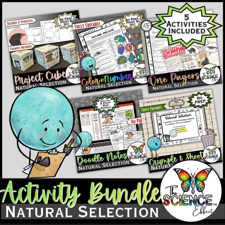 Natural Selection Science Activity Bundle 30% OFF | Evolution Activities | 6-8
