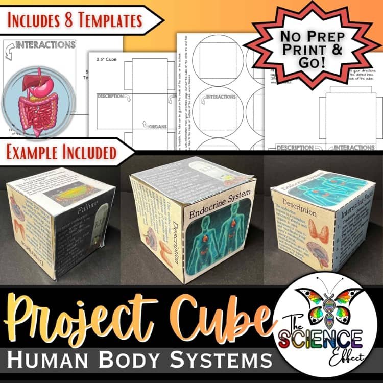 Human Body Systems 3D Research Project Cube | Life Science Anatomy Activity