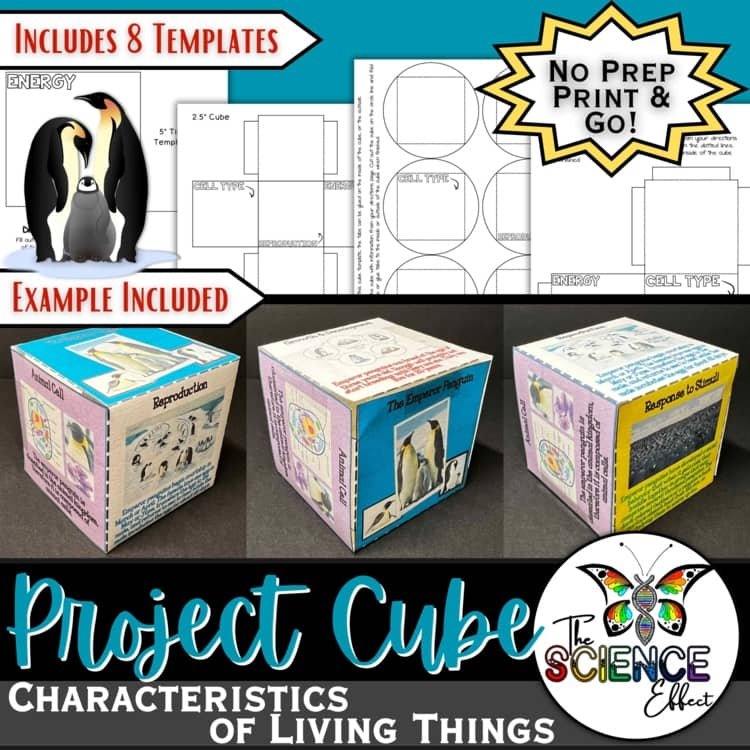 Characteristics of Living Things 3D Research Project Cube | Biology Activity
