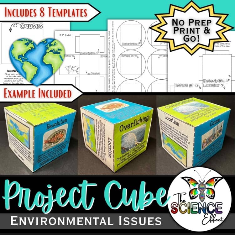 Environmental Issues 3D Research Project Cube | Earth Day Ecology Activity