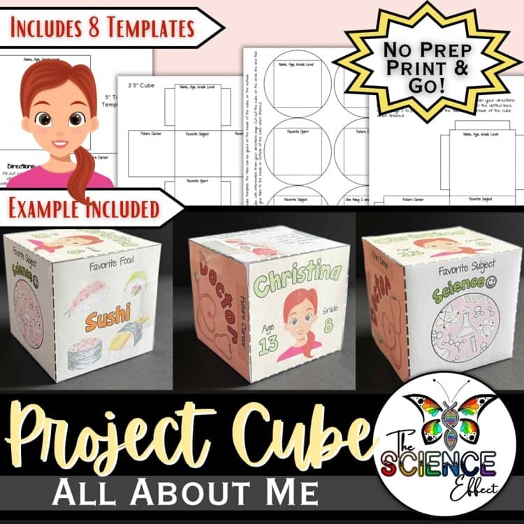 All About Me Back to School 3D Project Cube | Icebreaker & Reflection Activity