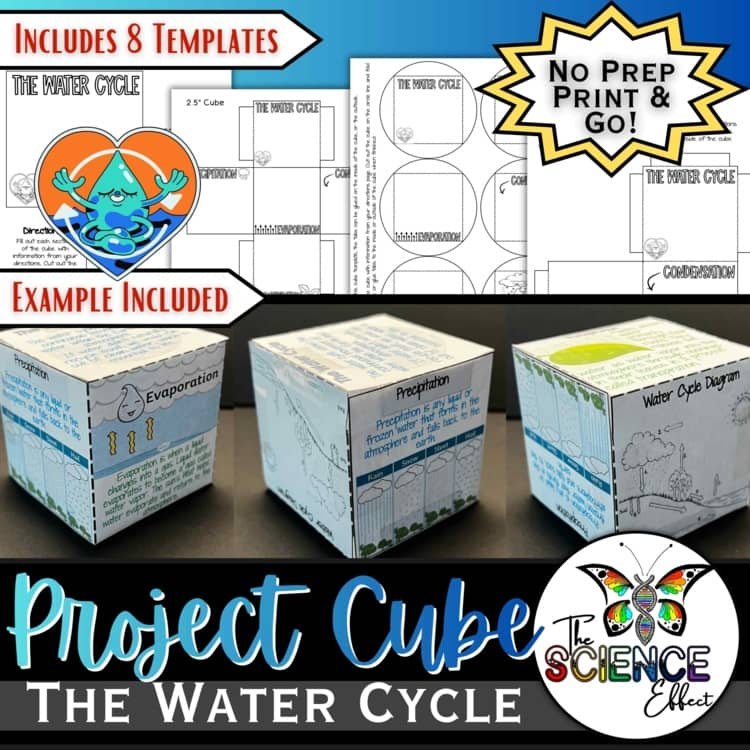 The Water Cycle | 3D Research Project Cube