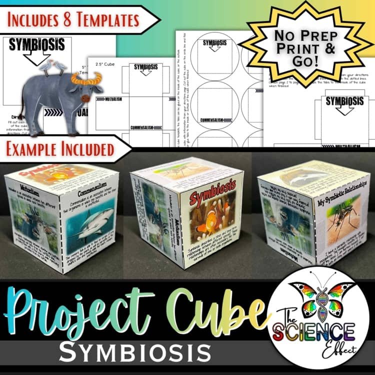 Symbiosis 3D Research Project Cube | Ecology & Life Science Activity