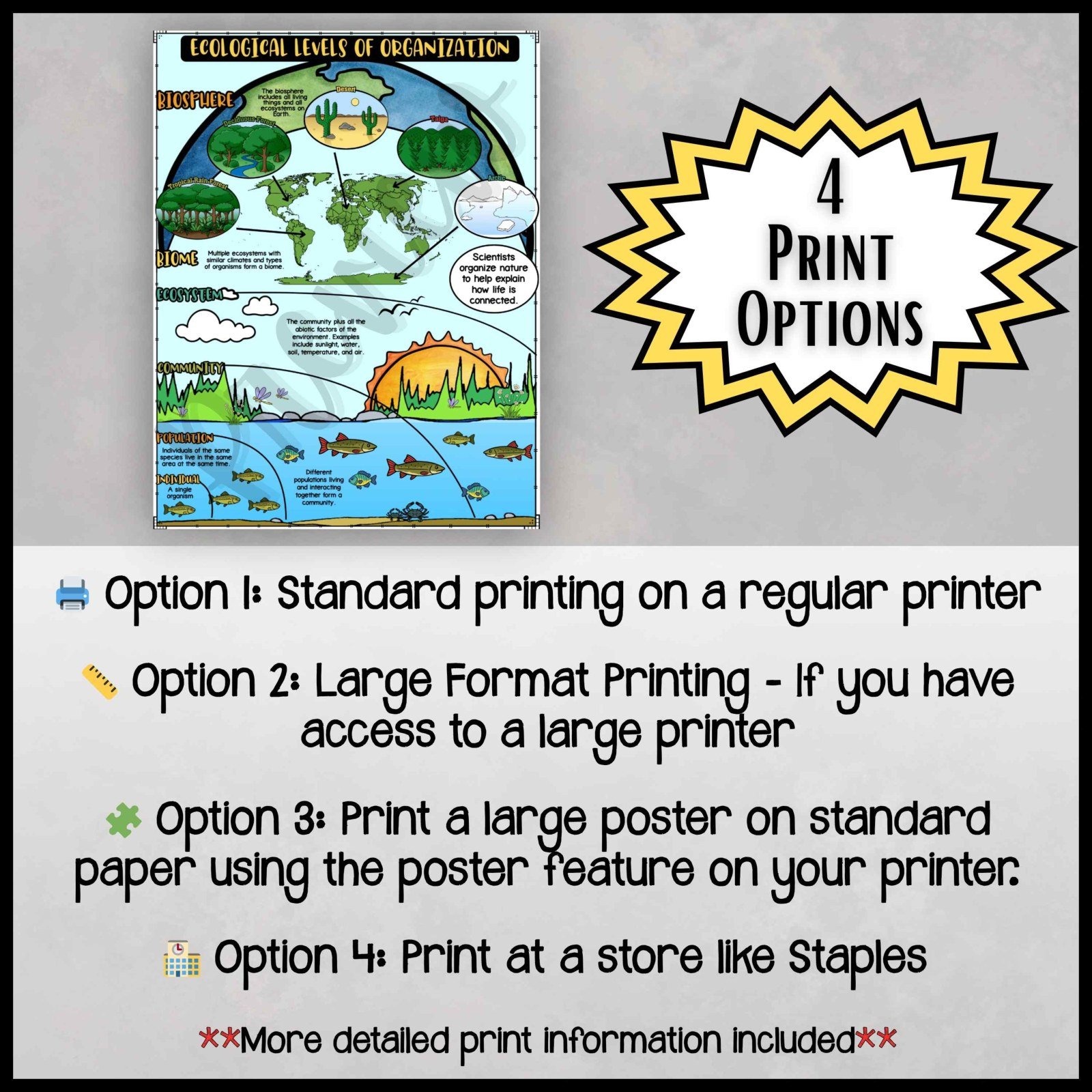 Ecological Levels of Organization Anchor Chart | Ecosystem Poster Decor - Image 4