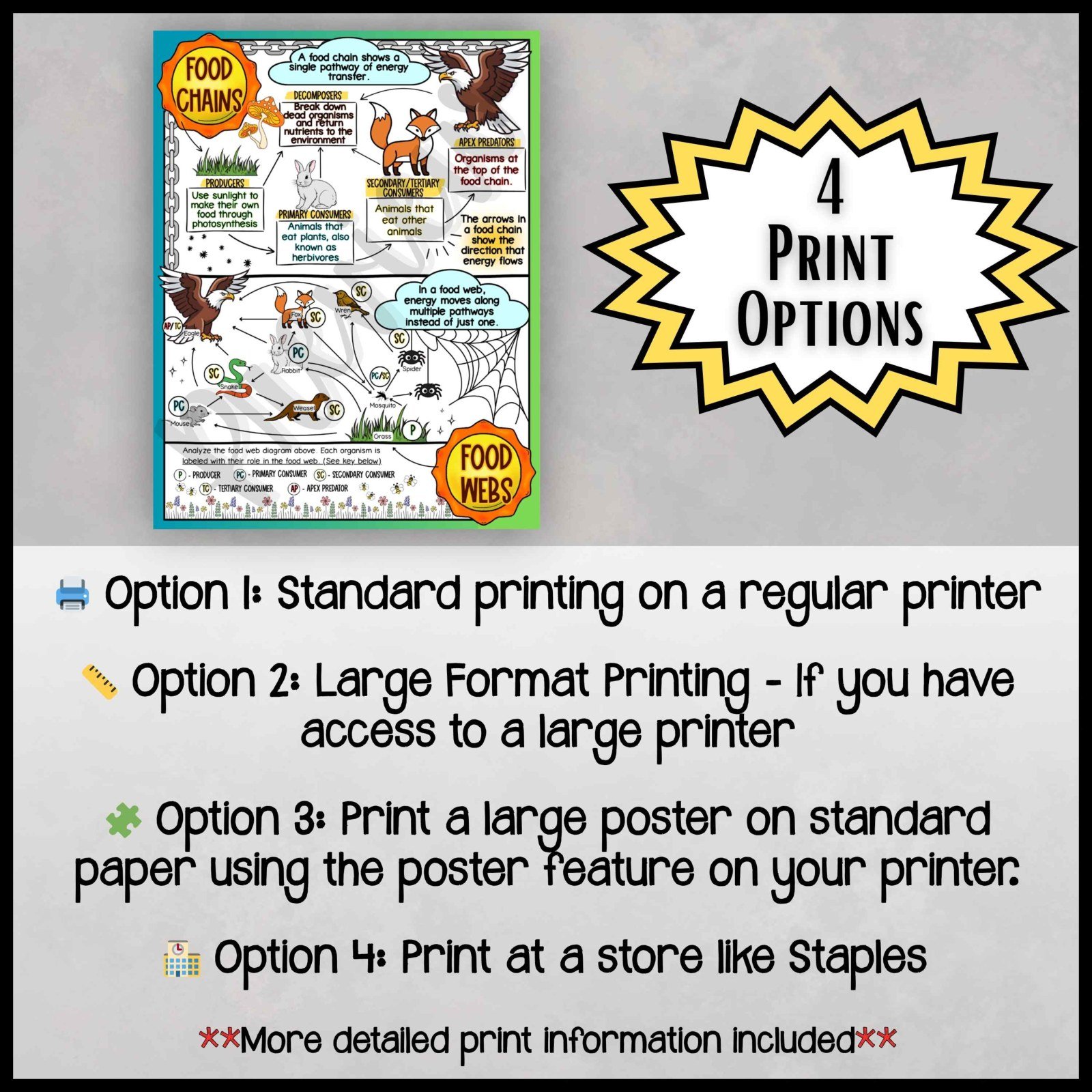 Ecology Anchor Charts Bundle | Food Chains Energy Pyramid Symbiosis Posters - Image 10