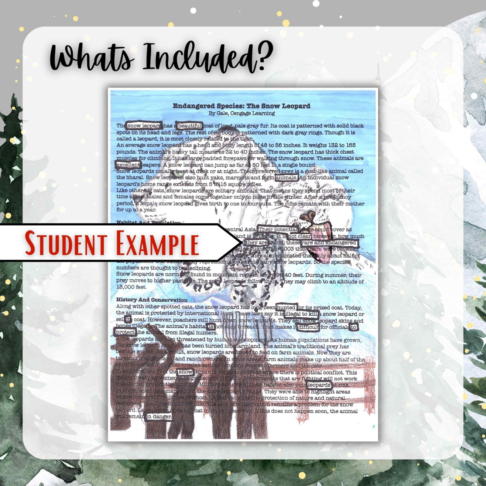 Endangered Species Blackout Poetry | Science Poetry | Earth Day Science Activity - Image 4