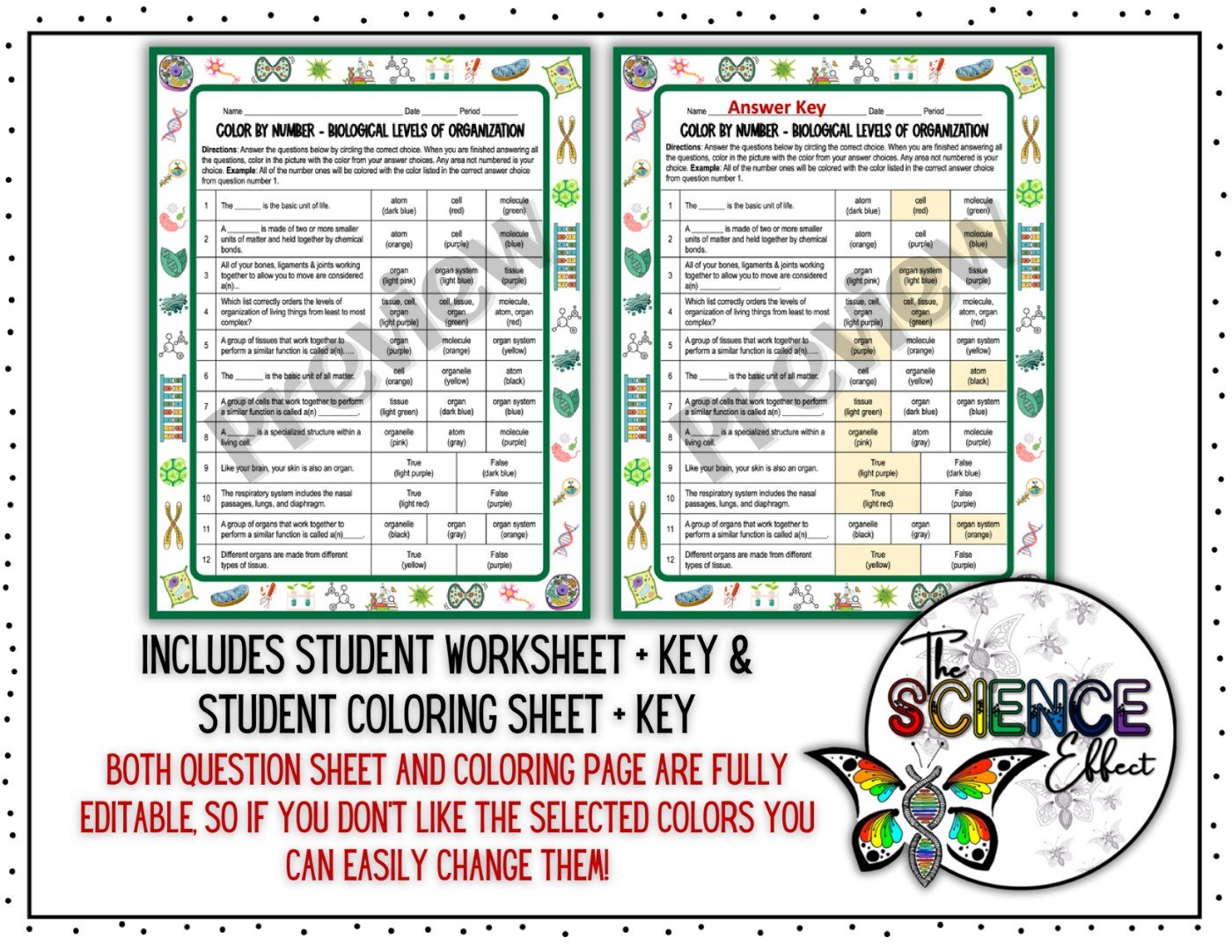 Biological Levels of Organization Science Color-By-Number Worksheet - Image 2