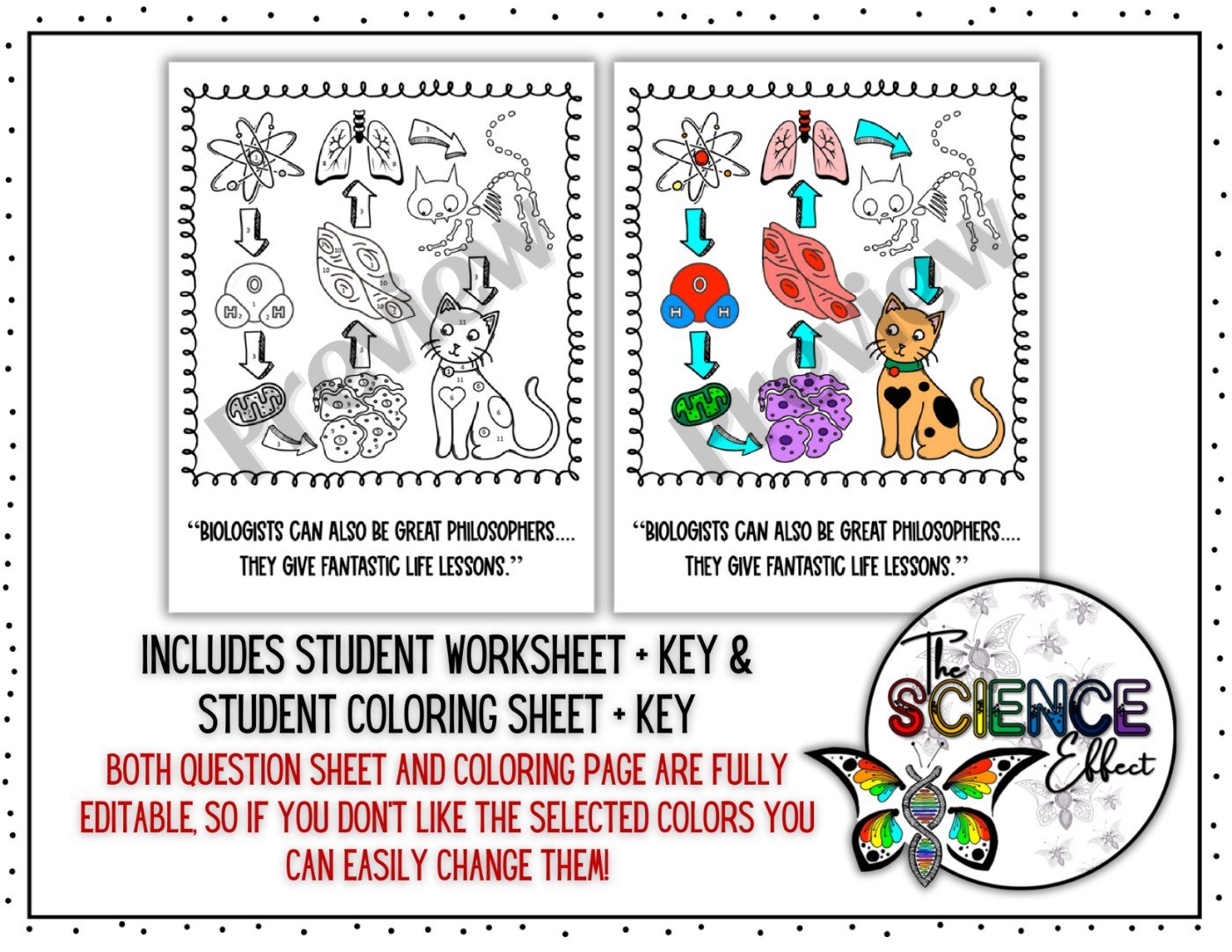 Biological Levels of Organization Science Color-By-Number Worksheet - Image 3