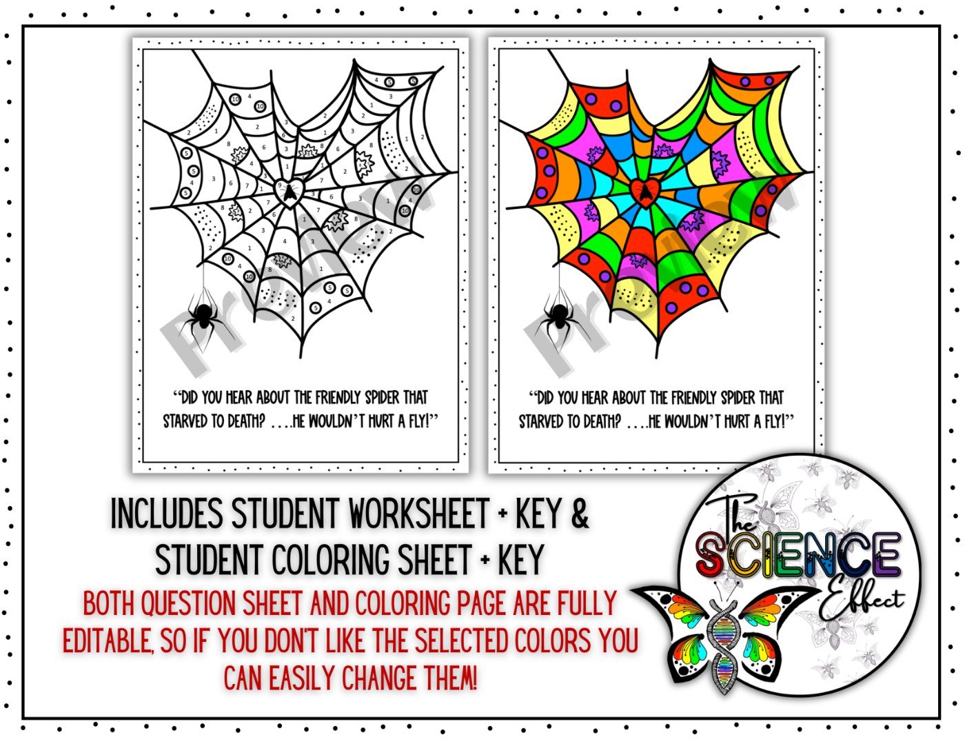 Food Webs & Food Chains Science Color-By-Number Worksheet | Ecology Activity - Image 3