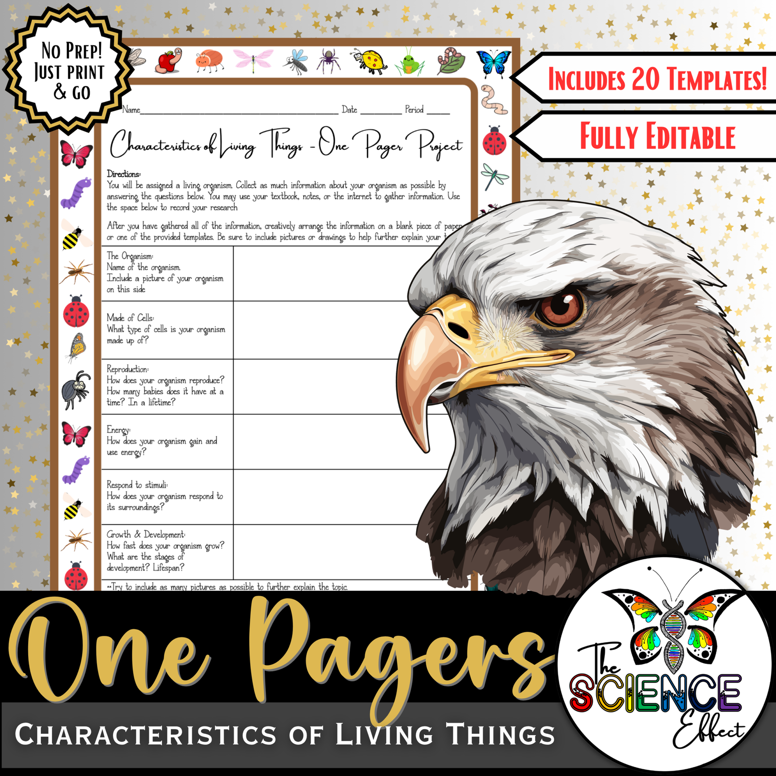 Characteristics of Living Things | Science One Pager Research Project