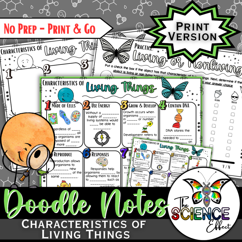 Characteristics of Living Things Science Doodle Notes | Graphic Organizer
