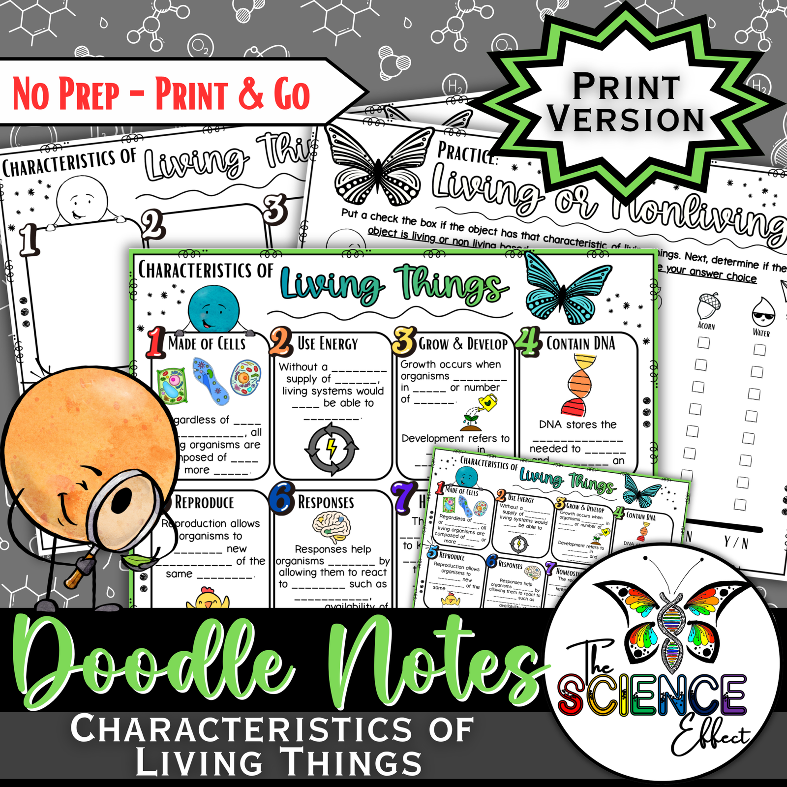 Characteristics of Living Things Science Doodle Notes | Graphic Organizer