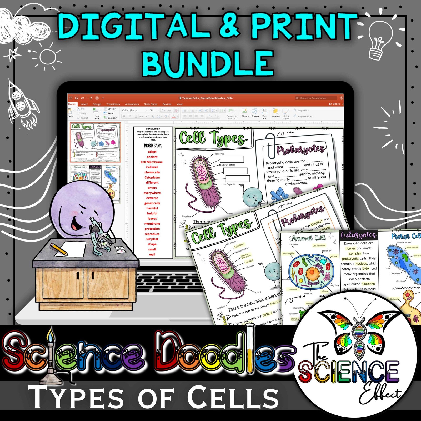 Types of Cells Doodle Notes | Science Graphic Organizer | Digital & Print Bundle