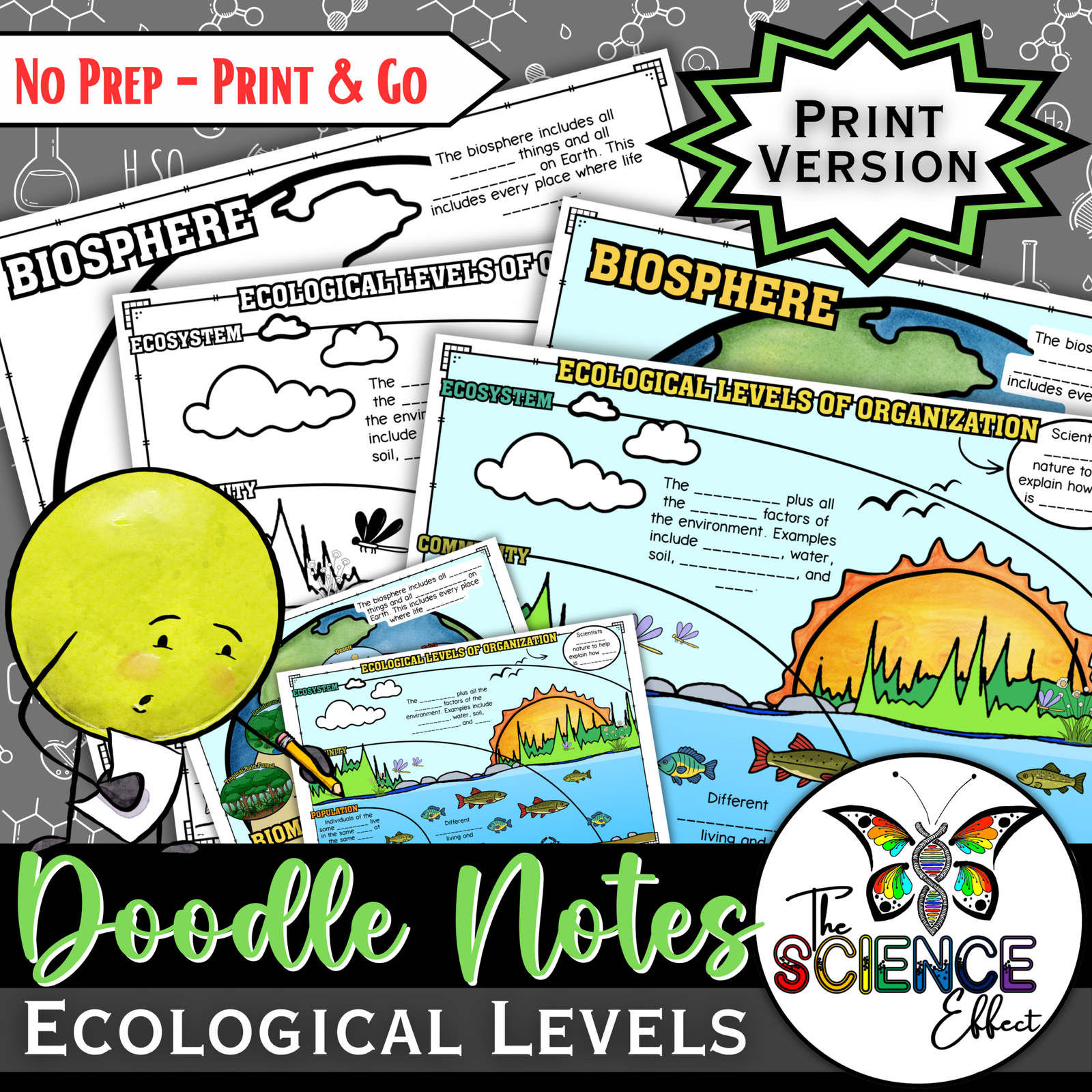 Ecological Levels of Organization Science Doodle Notes | Graphic Organizer — Print