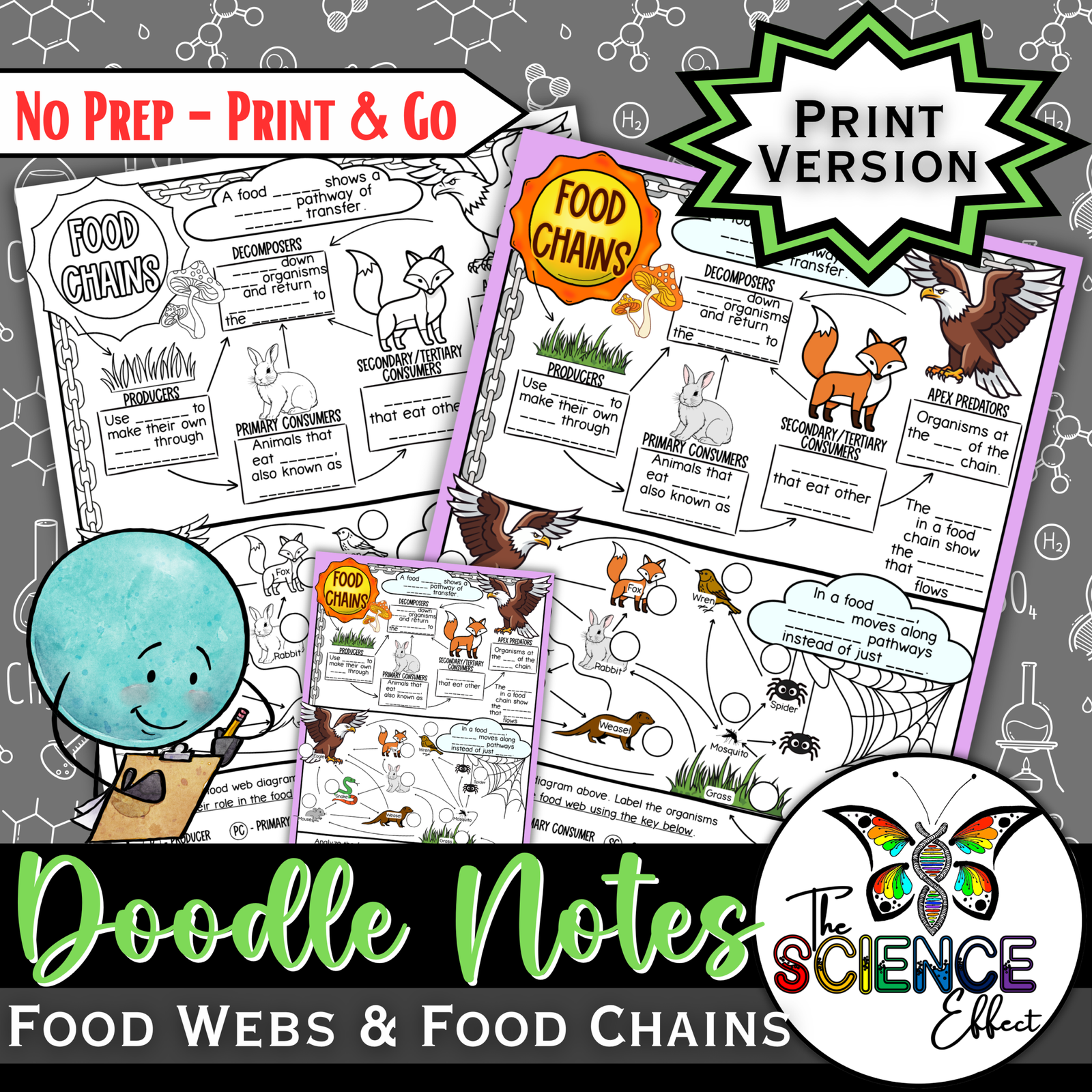 Food Chains and Food Webs Doodle Notes | Science Graphic Organizer | Visual Notes