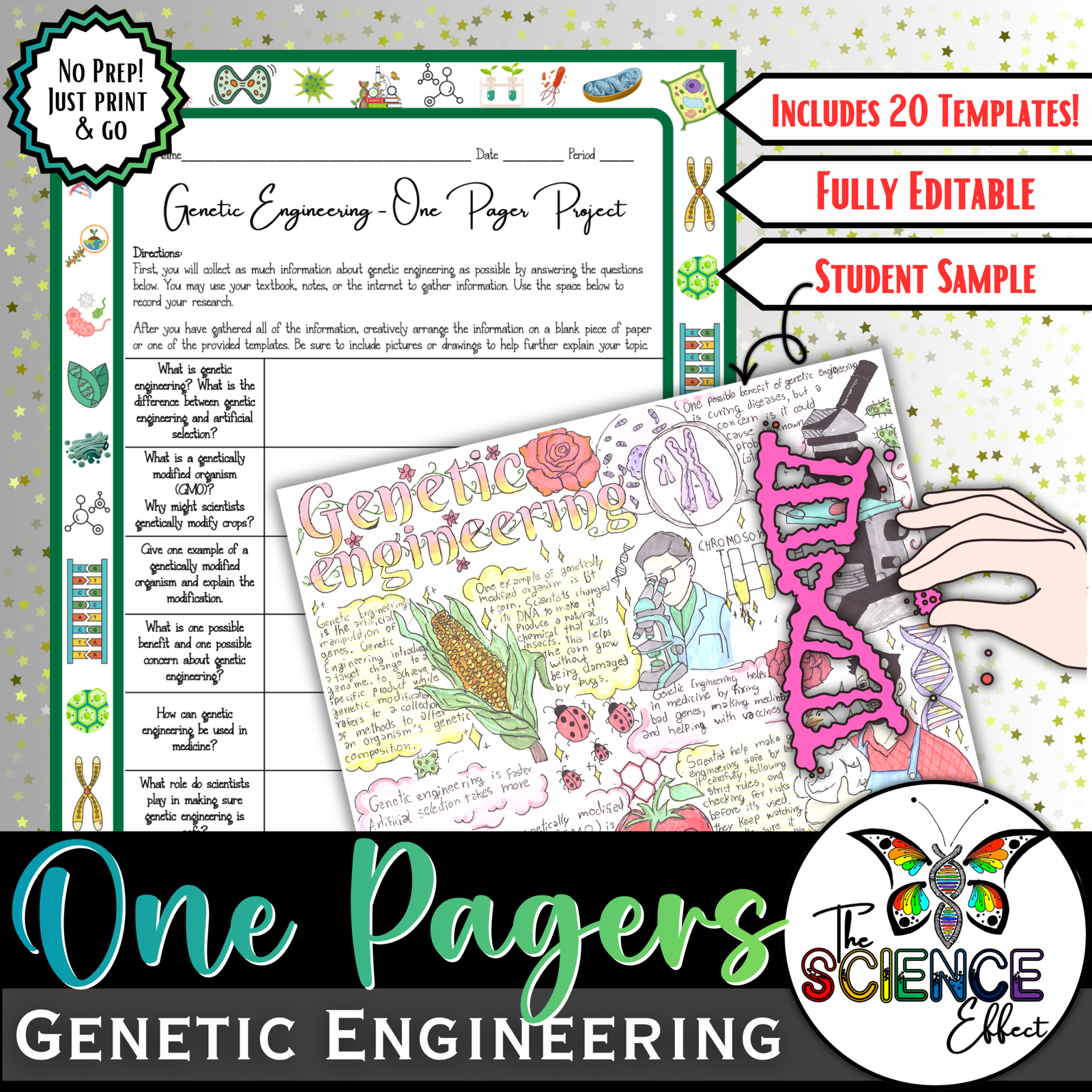 Genetic Engineering One Pager Project | Science One Pager Research Project