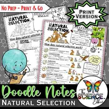 Natural Selection Doodle Notes | Natural Selection Visual Notes | Gr. 6-8 print-only cover