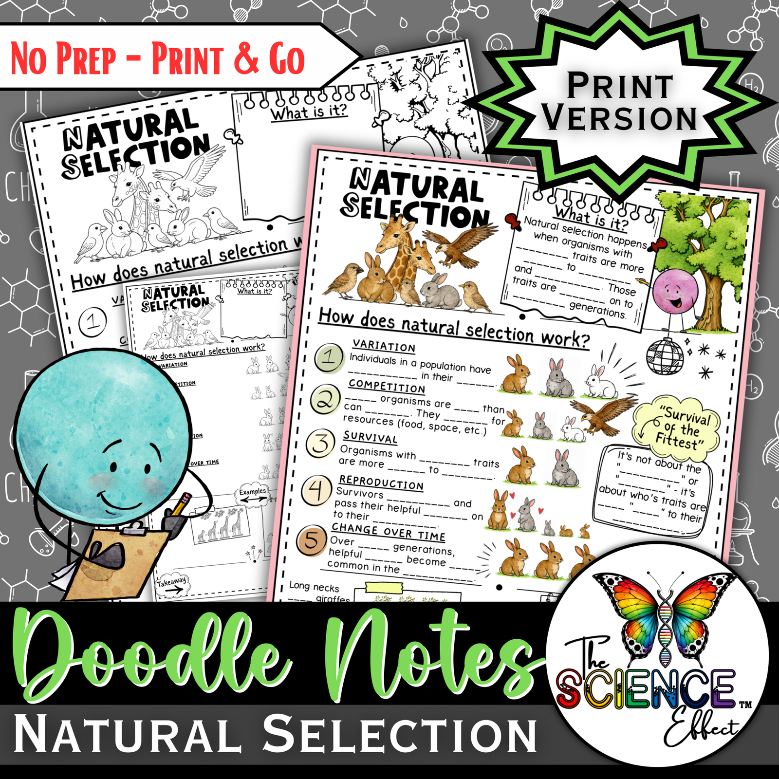 Natural Selection Doodle Notes | Natural Selection Visual Notes | Gr. 6-8 — Print