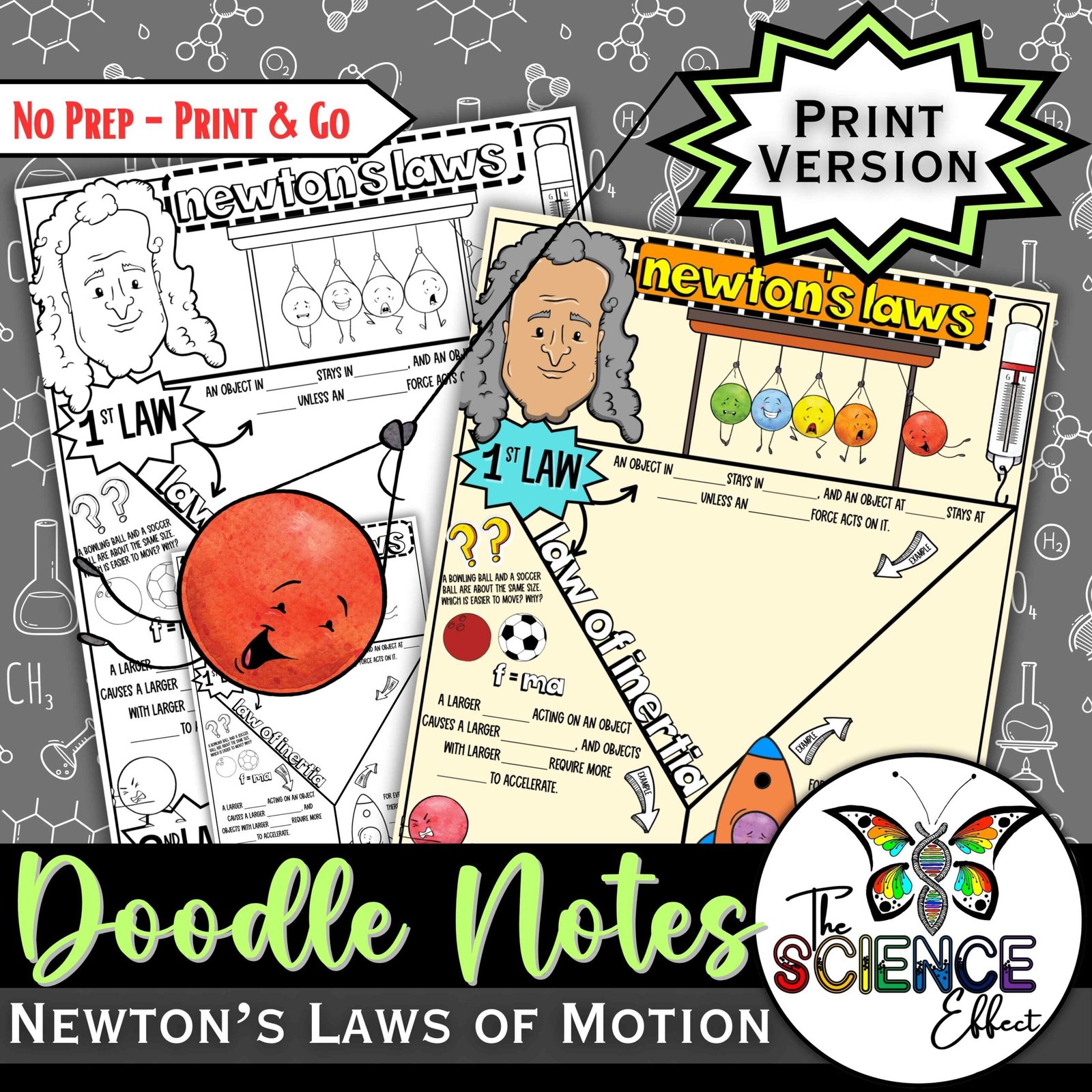 Newton's Laws of Motion Doodle Notes ~ Science Graphic Organizer ~ Visual Notes — Print