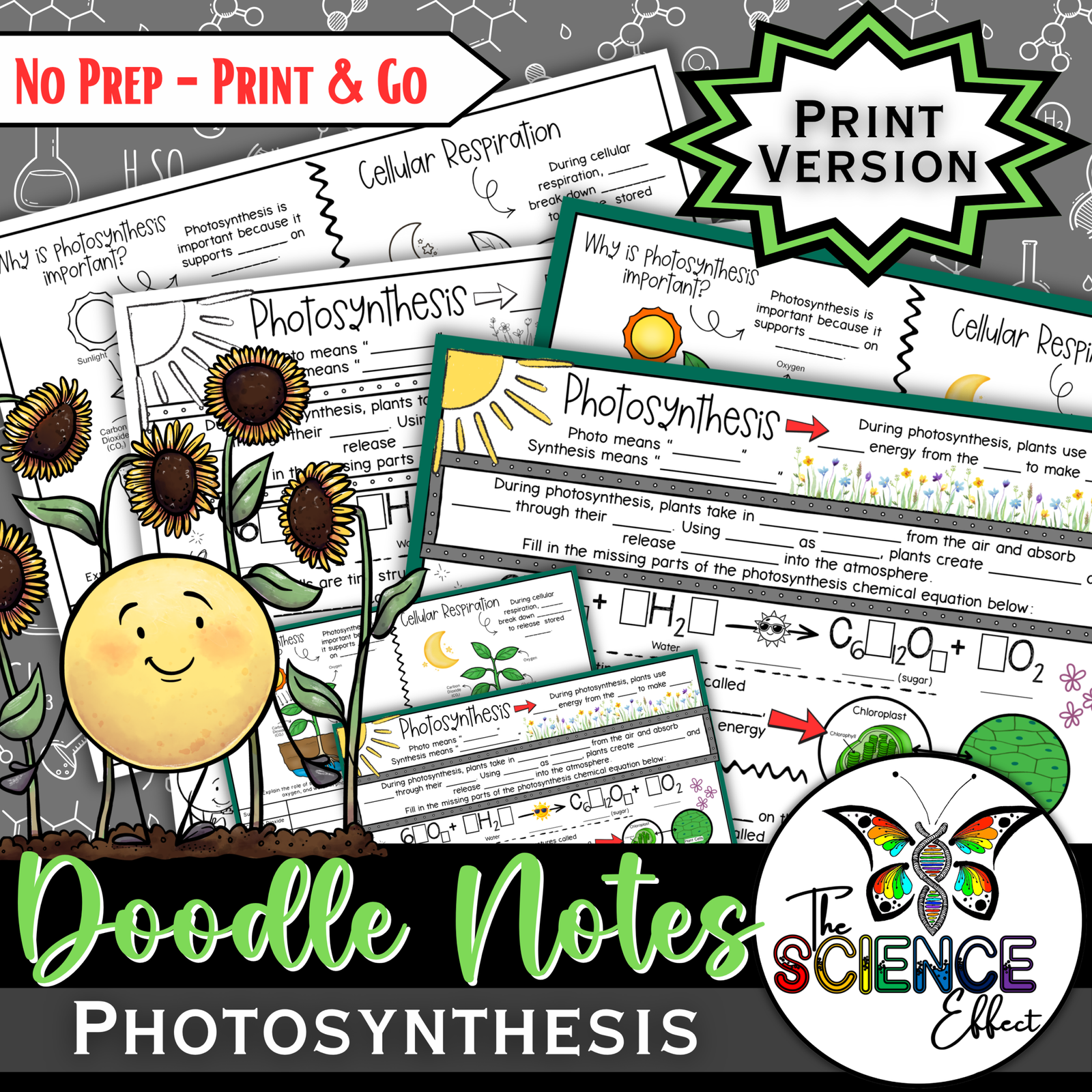 Photosynthesis Doodle Notes | Photosynthesis & Cellular Respiration Notes | 6-8 — Print
