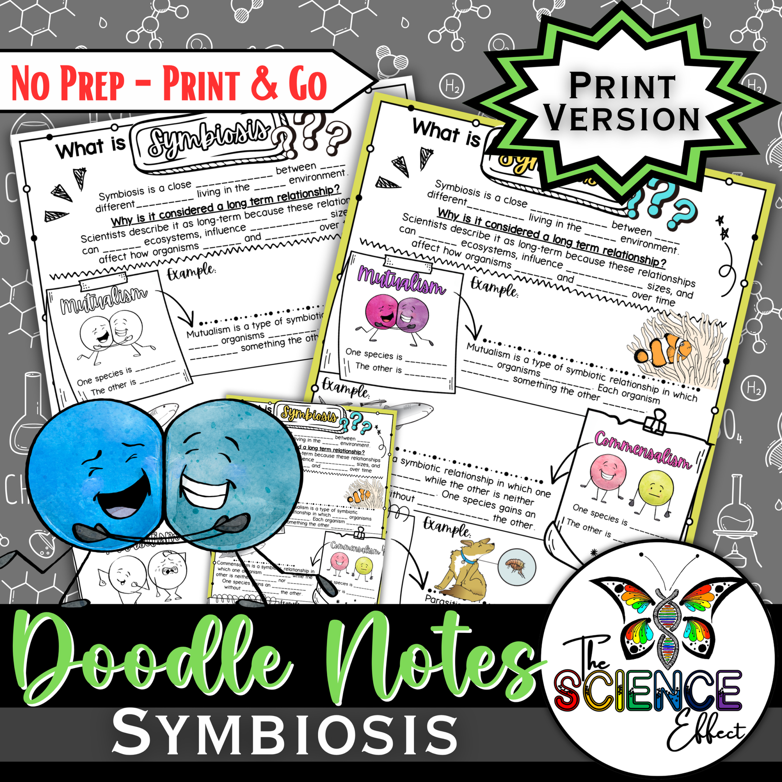 Symbiosis Doodle Notes | Symbiotic Relationships | Science Graphic Organizer — Print