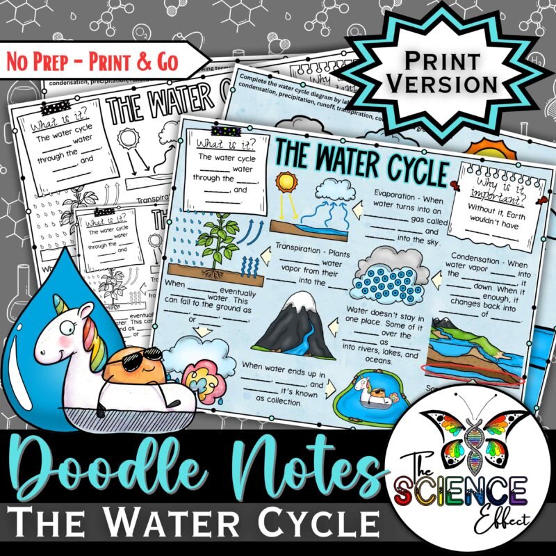 The Water Cycle Doodle Notes | Hydrologic Cycle | Science Doodle Notes | Visual Notes