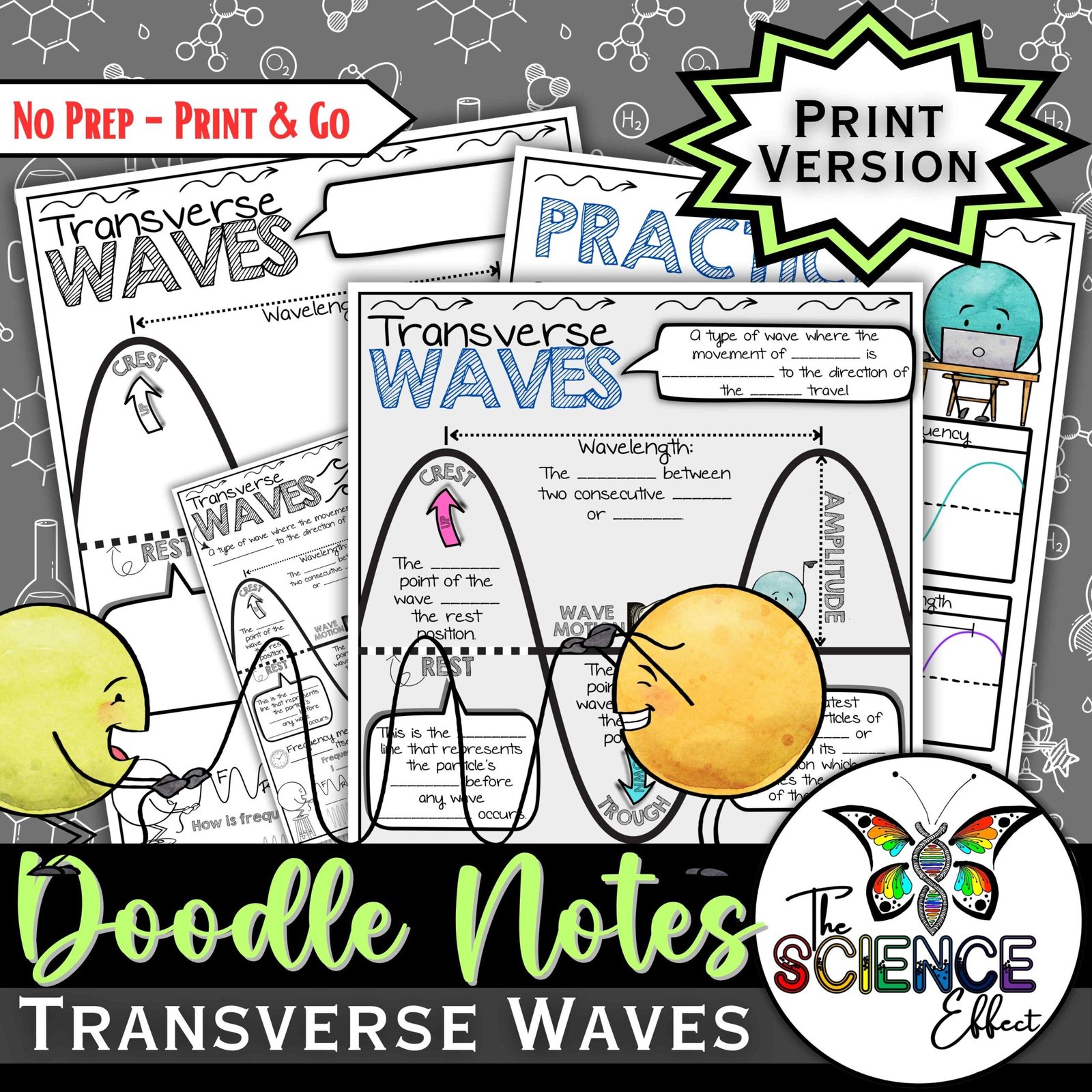 Transverse Waves ~ Science Doodle Notes ~ Visual Notes — Print