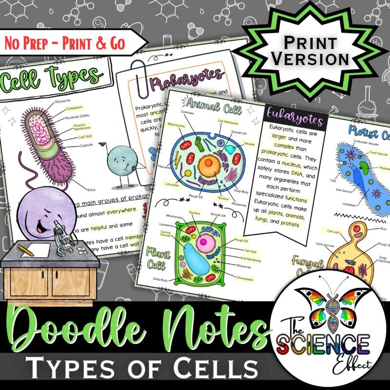 Types of Cells Doodle Notes ~ Science Doodle Notes ~ Visual Notes