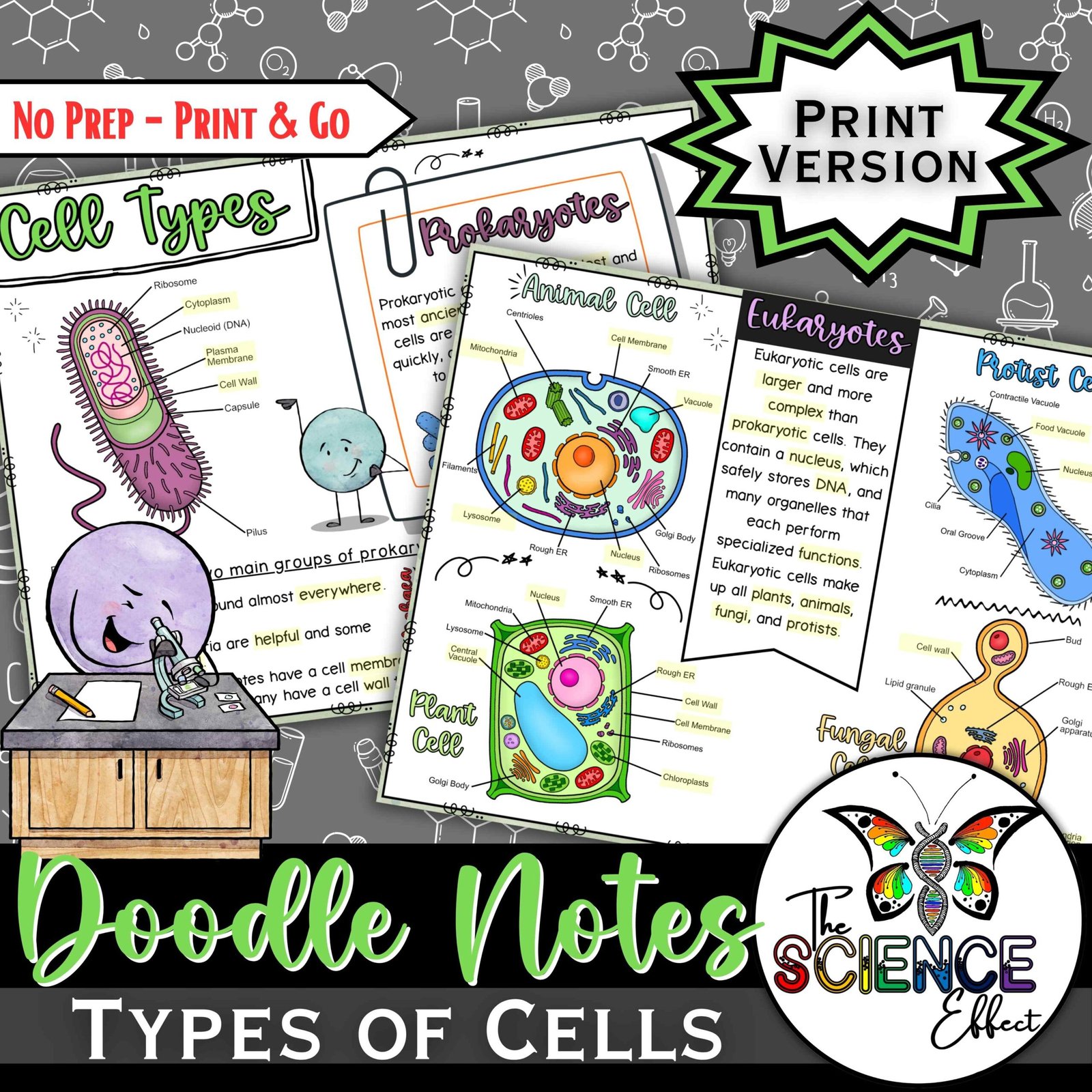 Types of Cells Doodle Notes ~ Science Doodle Notes ~ Visual Notes