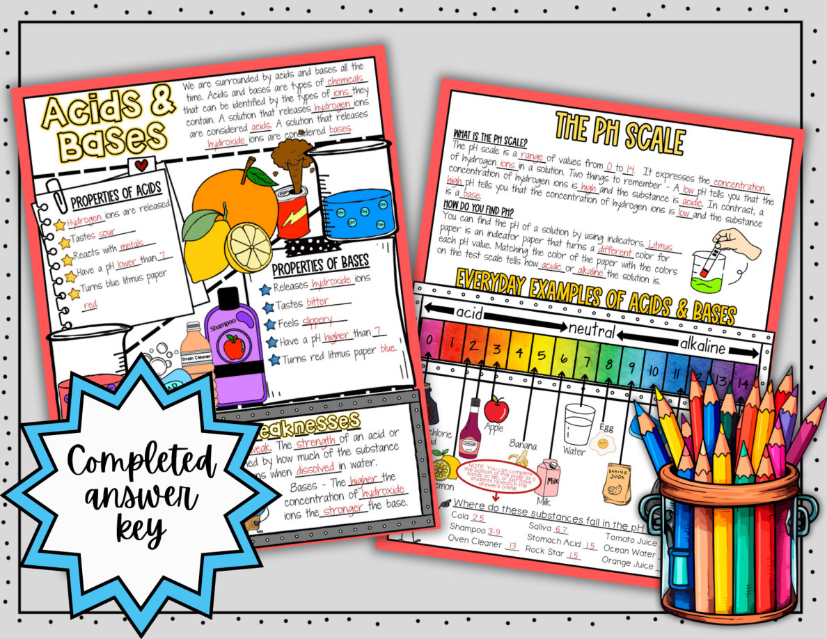 Digital Doodle Notes ~ Acids & Bases ~ pH Scale ~ Science Doodle Notes - Image 5