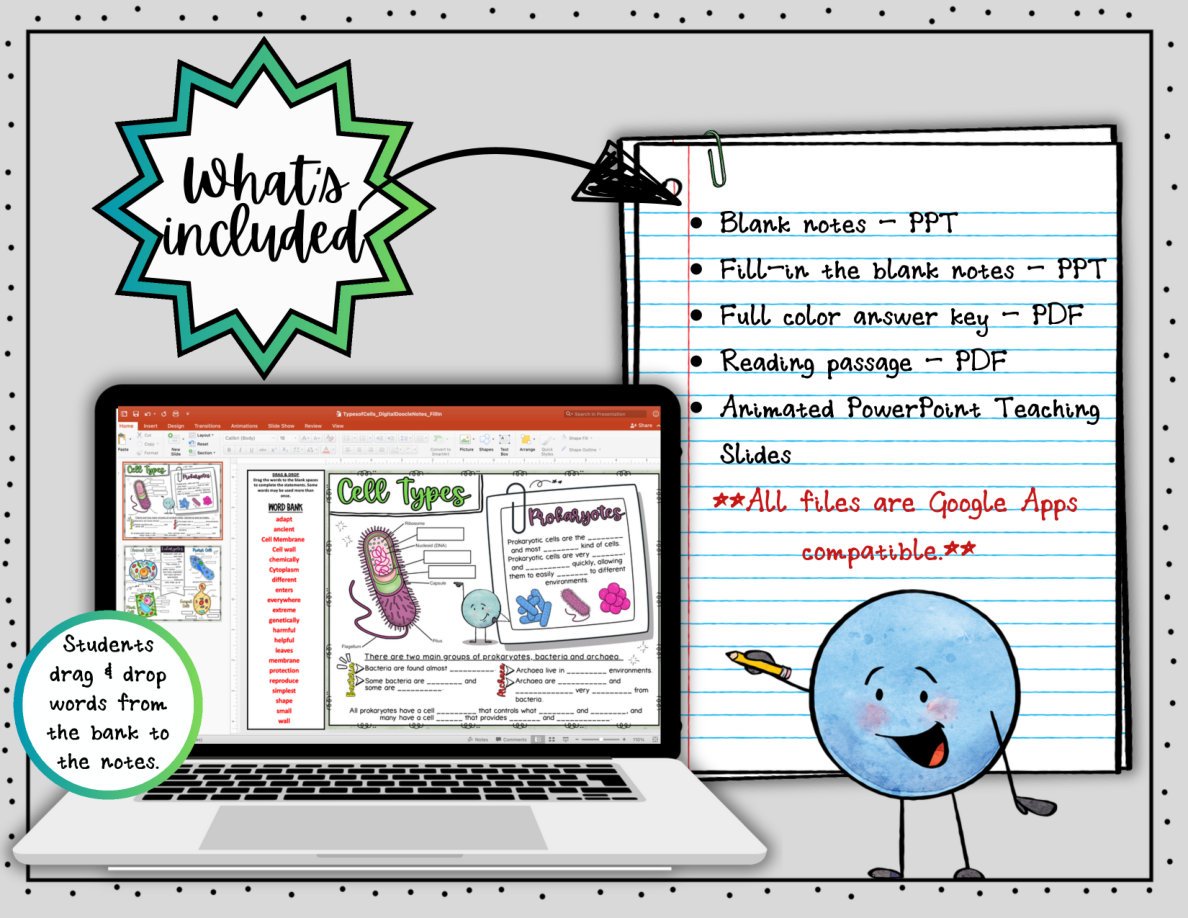 Types of Cells Digital Doodle Notes | Science Doodle Notes - Image 2