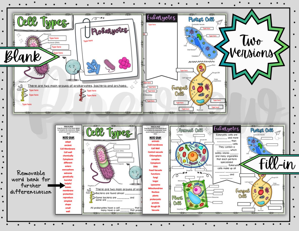 Types of Cells Digital Doodle Notes | Science Doodle Notes - Image 3