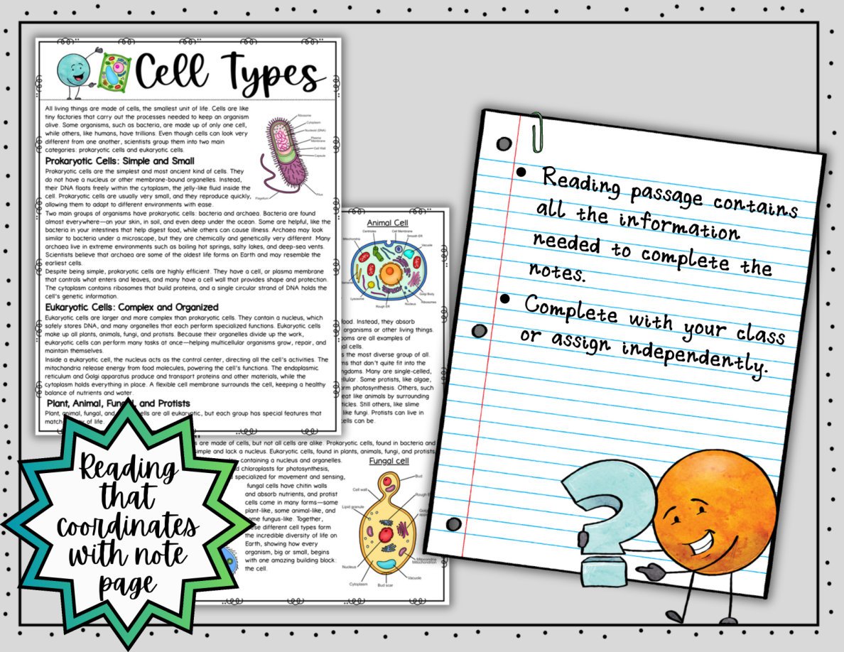 Types of Cells Digital Doodle Notes | Science Doodle Notes - Image 4