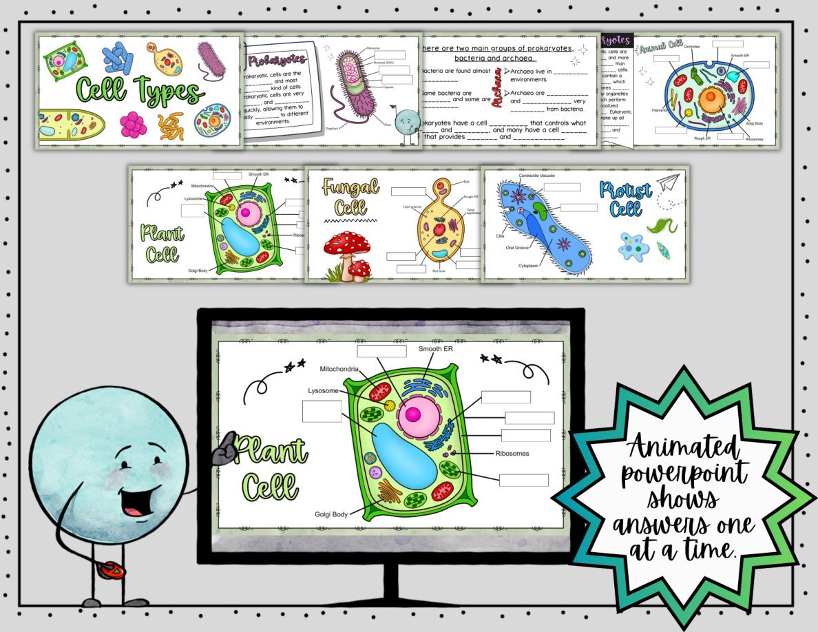 Types of Cells Digital Doodle Notes | Science Doodle Notes - Image 6
