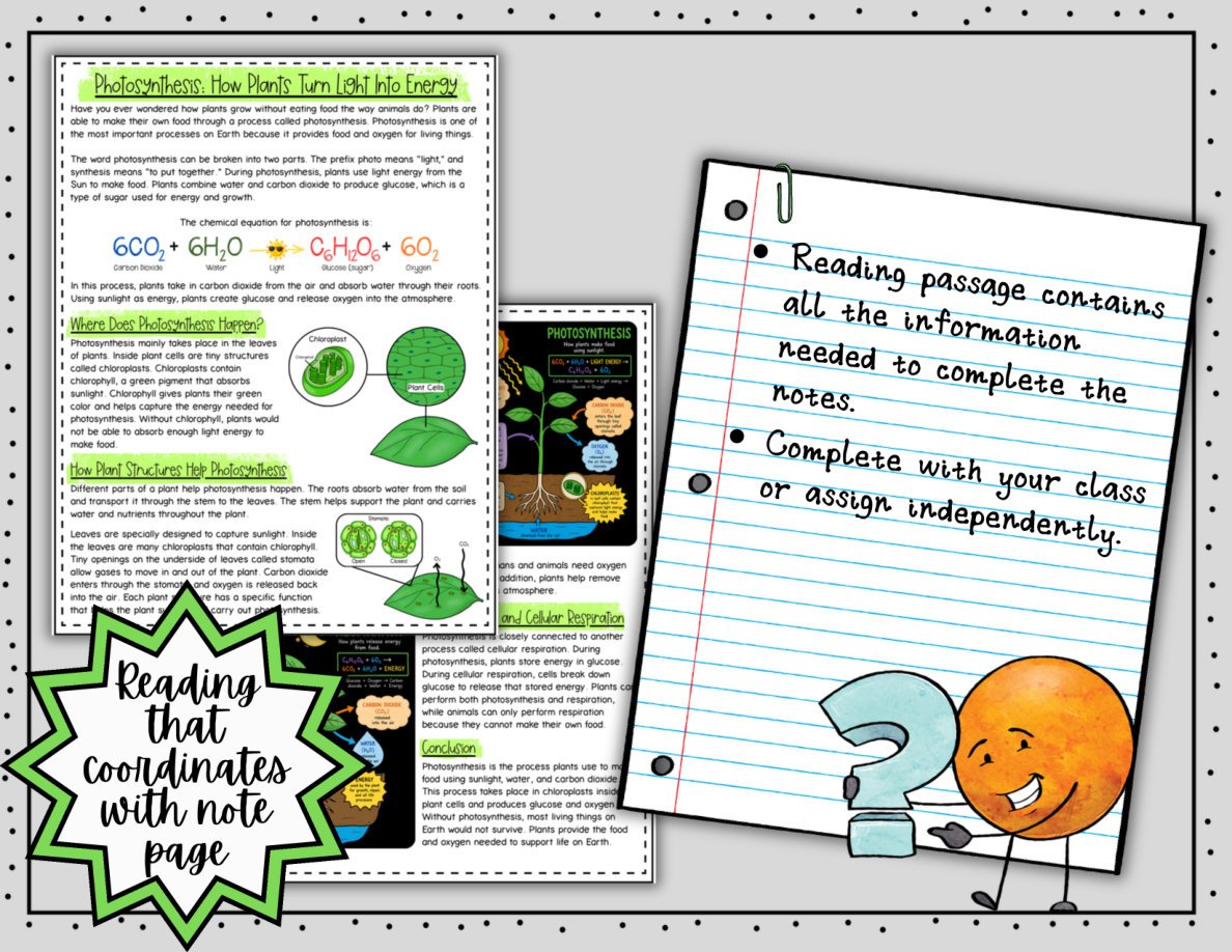 Photosynthesis Digital Doodle Notes | Photosynthesis Cellular Respiration Notes - Image 4