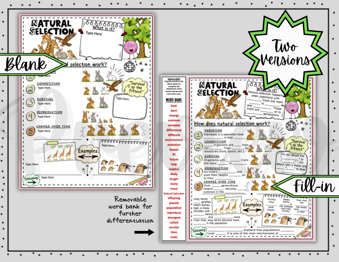 Natural Selection Digital Doodle Notes | Natural Selection Visual Notes - Image 3