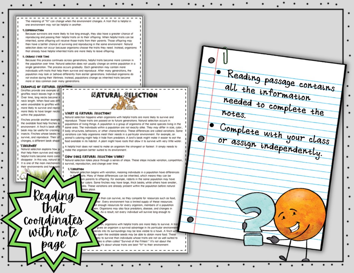 Natural Selection Digital Doodle Notes | Natural Selection Visual Notes - Image 4