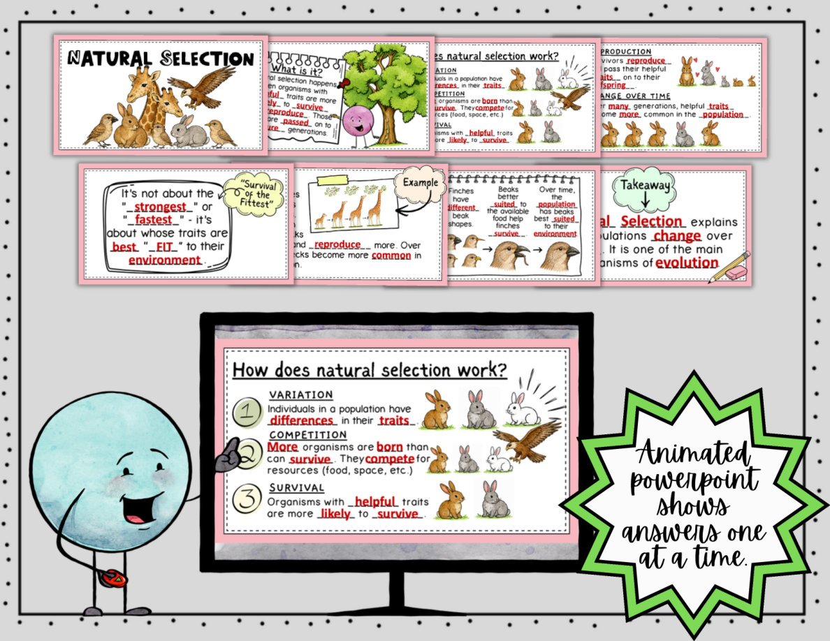 Natural Selection Digital Doodle Notes | Natural Selection Visual Notes - Image 6