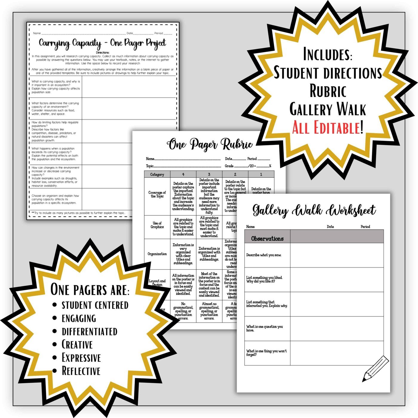 Carrying Capacity One Pager Project | Population Ecology Activity - Image 2
